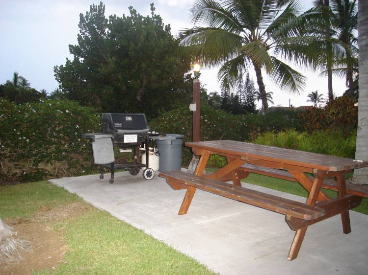 Kona_Coast_II_Picnic_Area