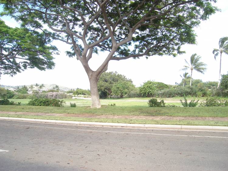 Ko'olina area