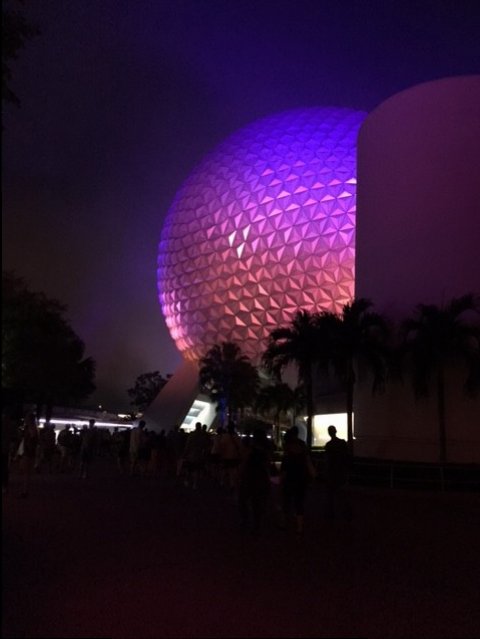 Landscape 5 - Epcot 09-06-2017
