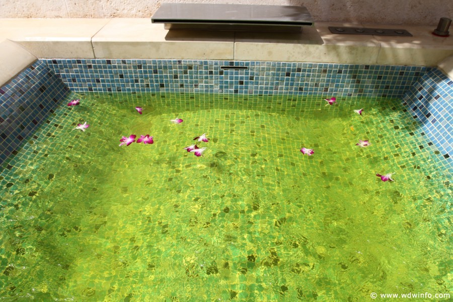 Laniwai-Spa-39