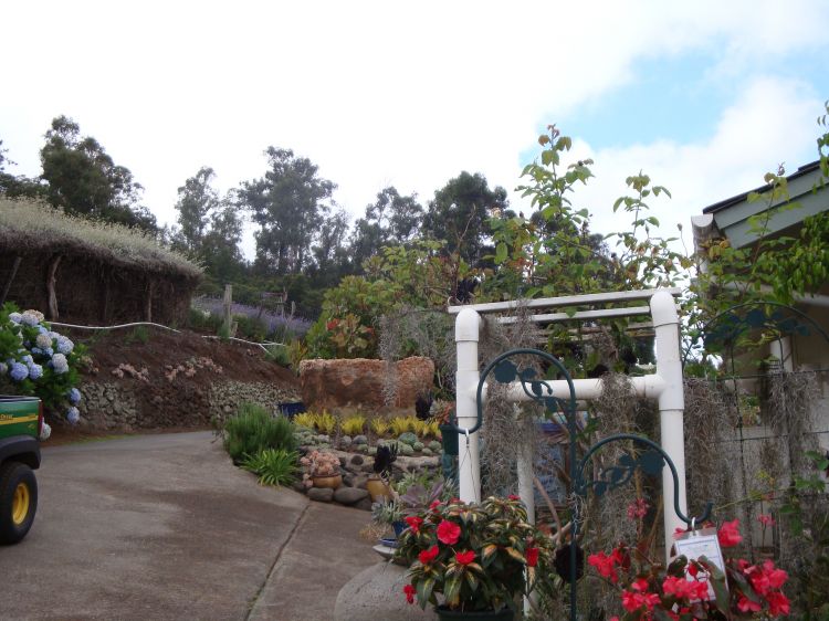 Lavendar Farm