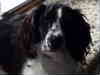 Libby