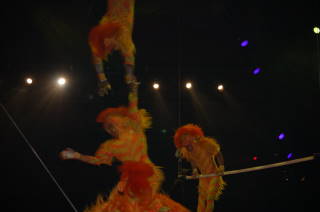 Lion King Acrobat Monkeys