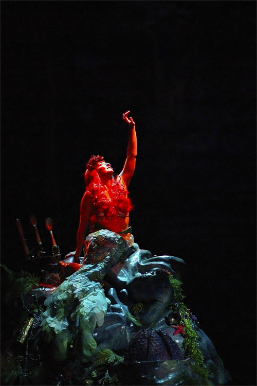 Little Mermaid show