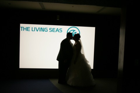 Living in Love