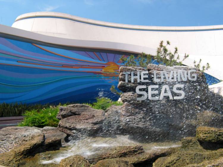 Living Seas