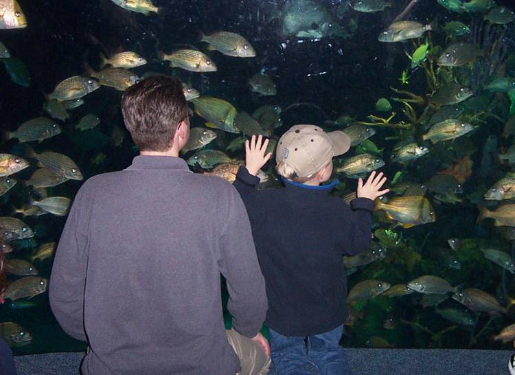livingseas