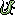 lizard