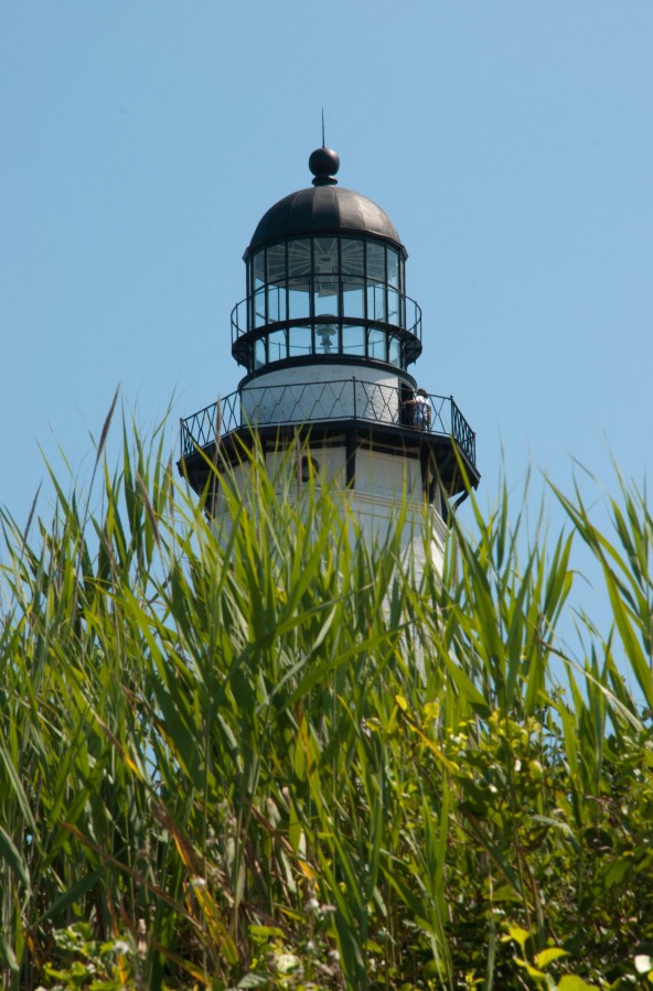 looking_up_2