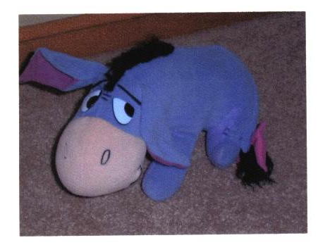 Lost Eeyore