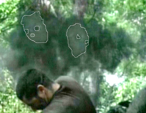 Lost_faces