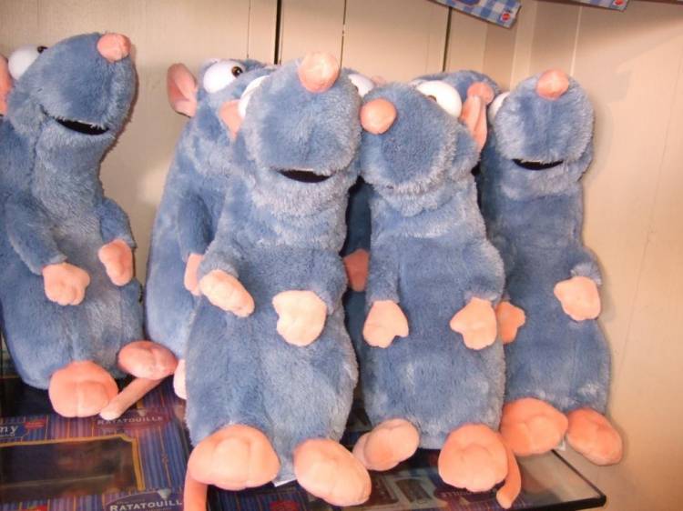 lots of rats