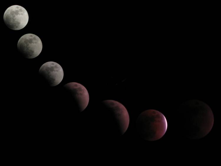 Lunar Eclipse