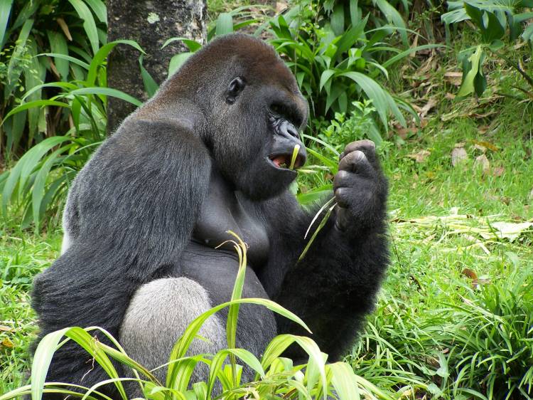 Lunchtime in Pangani