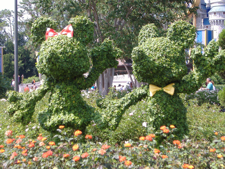 M&M Topiary