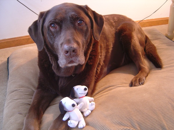 Mac_and_Snoopys2