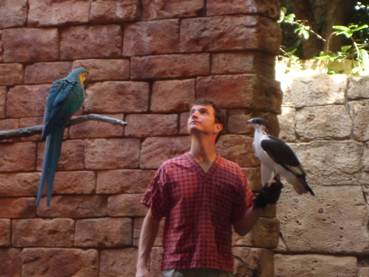 Macaw & Hawk at Flights of Wonder