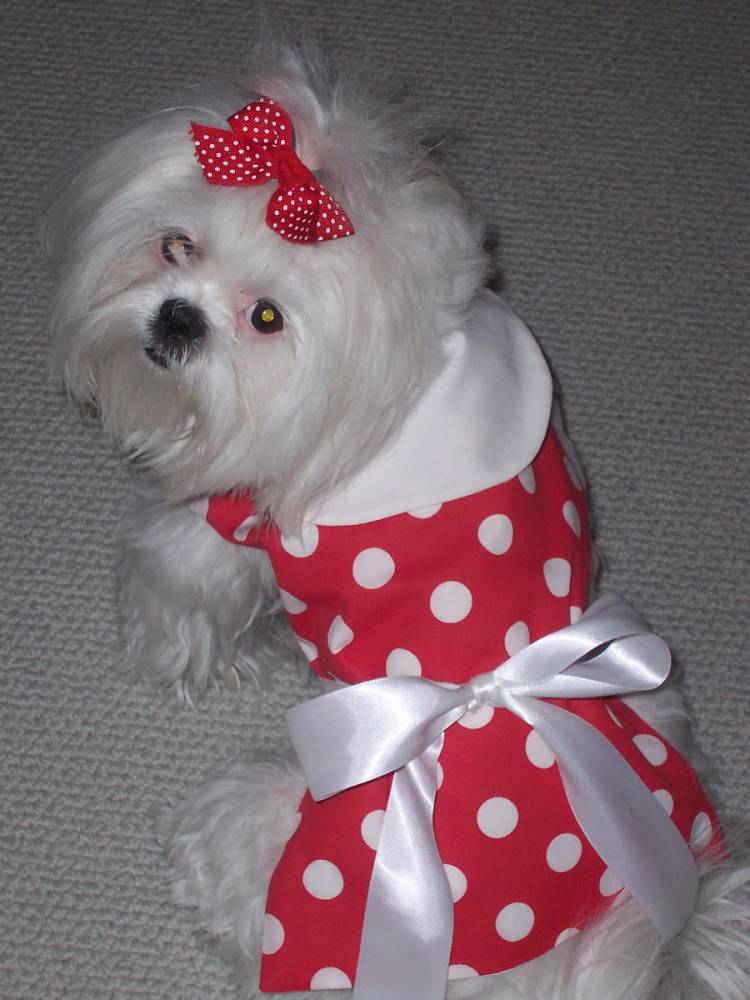 Maddie looks like Minnie!