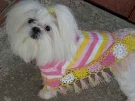 Maddie's Shawl