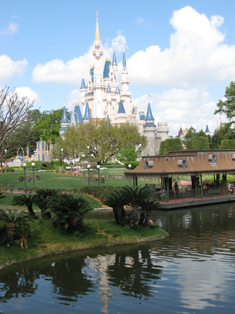Magic Kingdom Castle 309