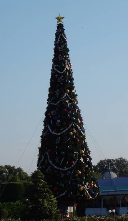 Magic Kingdom Christmas Tree 2006