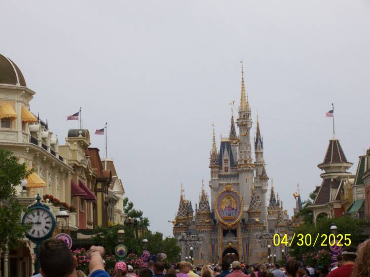Magic kingdom