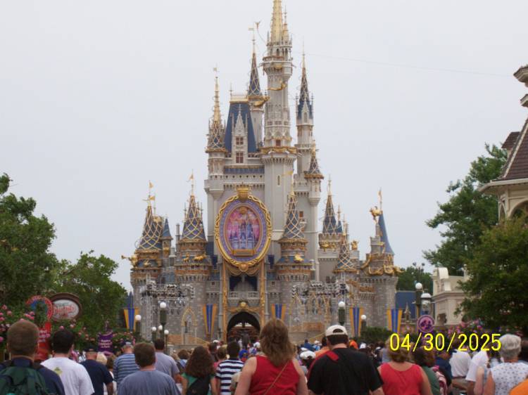 magic kingdom