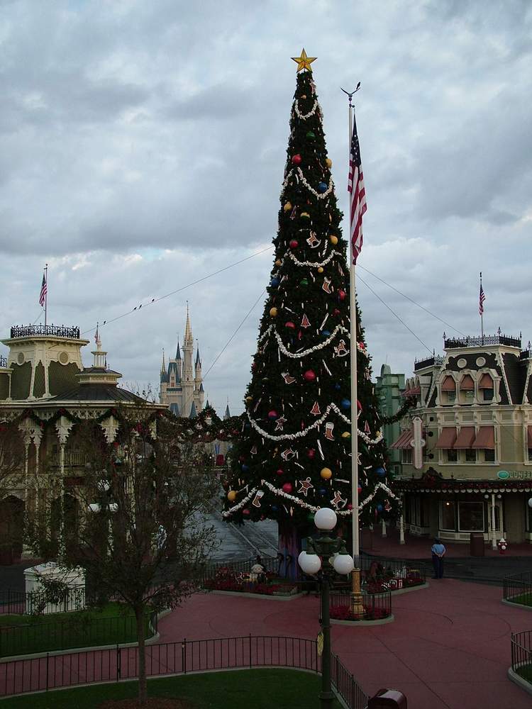 Magic Kingdom