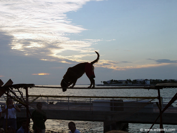 Mallory-Square-13