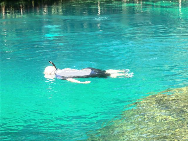 Manatee Springs
