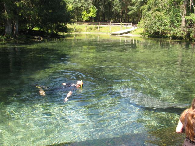 Manatee Springs