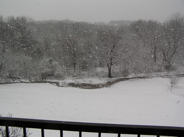 March 2008 Snow- Back yard