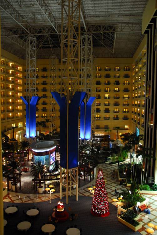 Marriott Rennaissance SW Orlando-Nightime