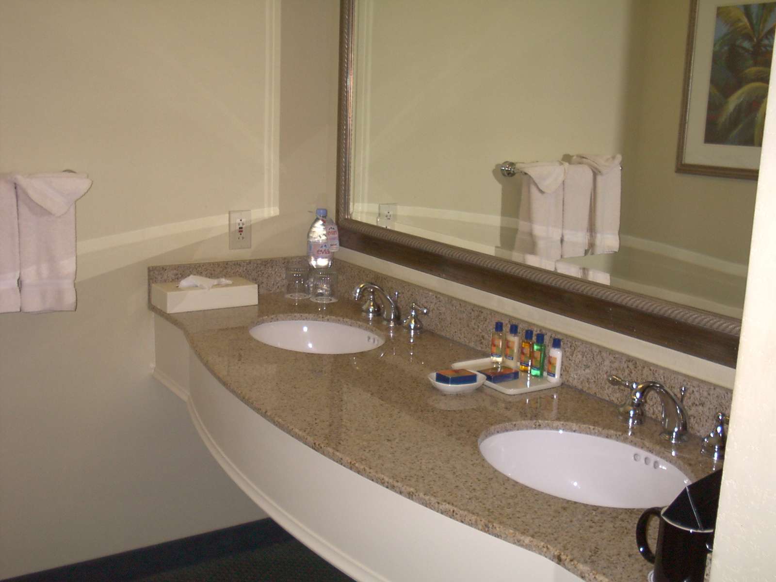 Marriott World Center Sink Area
