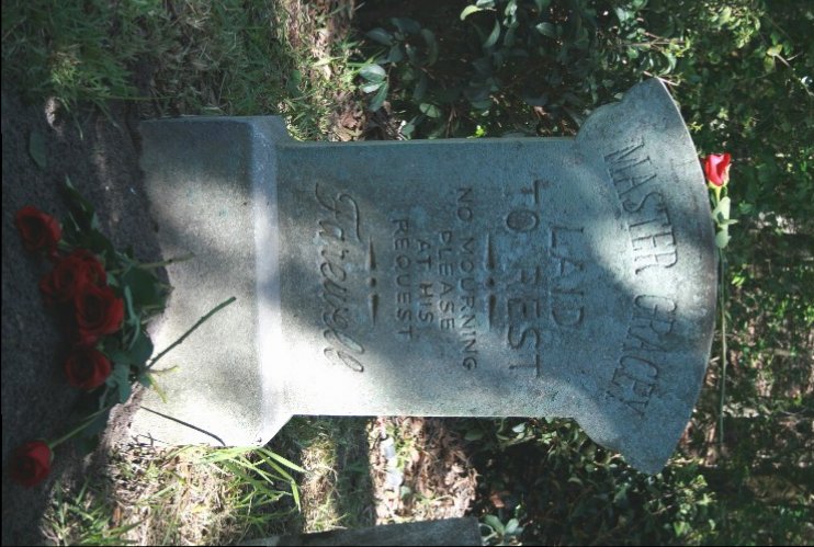 master_graceys_grave_with_roses_small