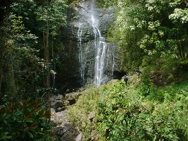 MAUI_3_2009_016