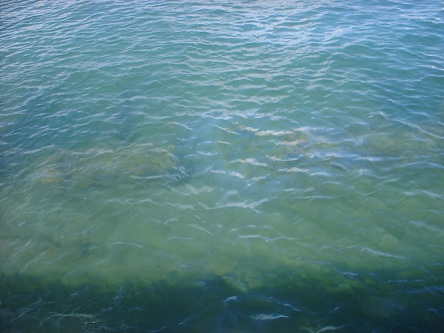 MAUI_3_2009_040