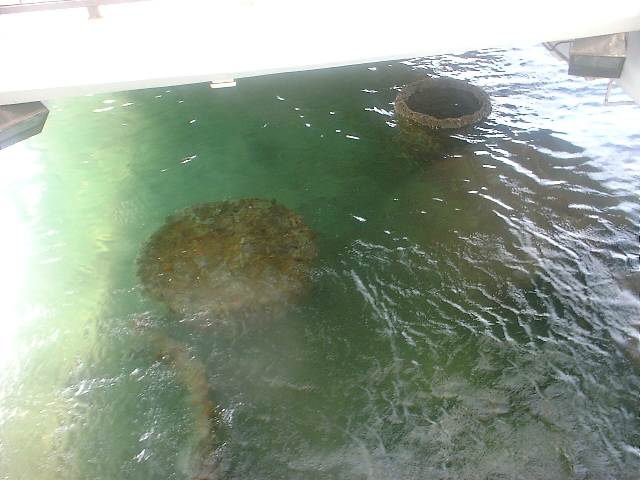 MAUI_3_2009_042