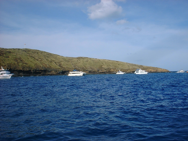 MAUI_3_2009_089