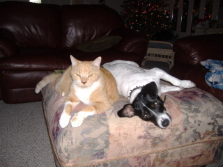 Max and Bugsy
