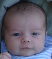 Max close up 2