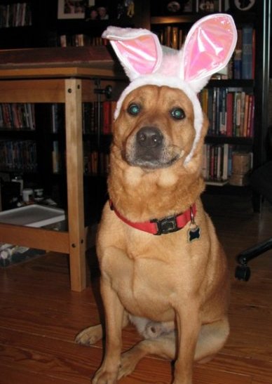 Max for Easter