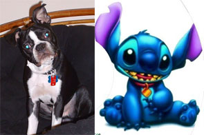 MaxandStitch