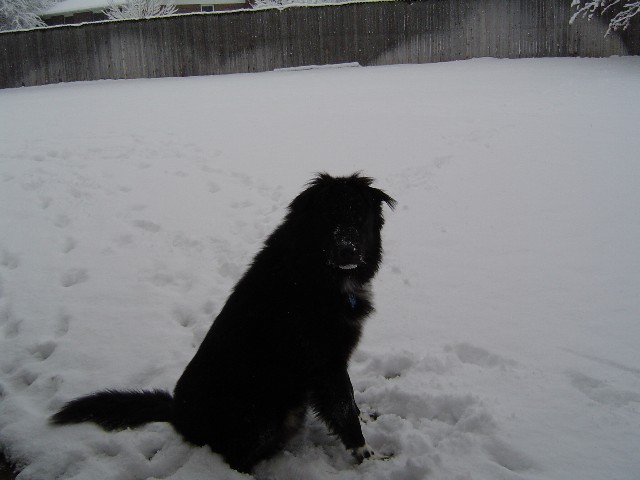 maxsnow