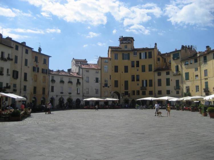 Med_DCL_2007_sm10