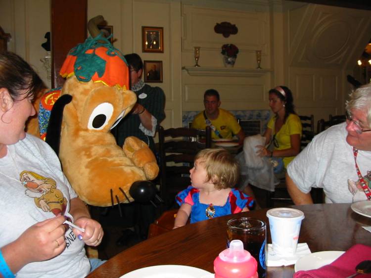 Meeting Pluto
