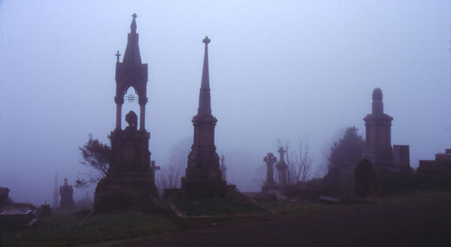 Memorials in the Mist