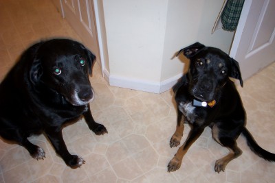Merri and Lilly