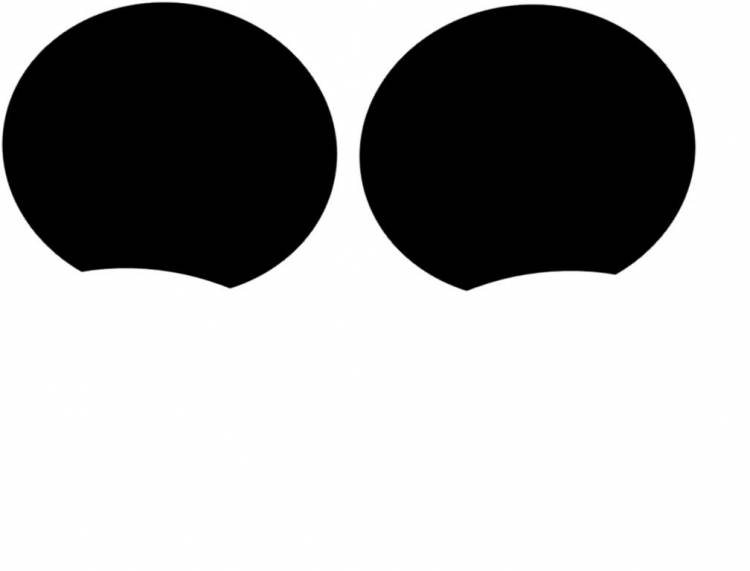 Mickey Ears for magnets for cruise door