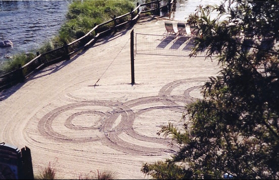 Mickey in the sand